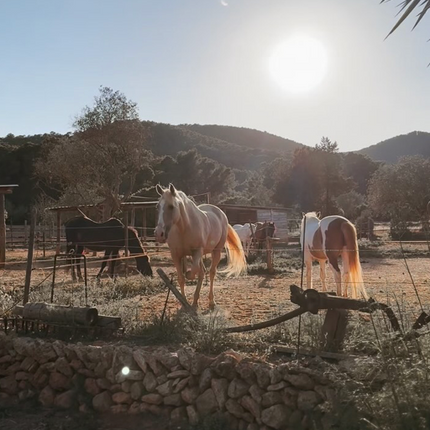 Activiteiten op Ibiza - mijn favoriete tips met en zonder kinderen