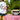 Pizza Lover Set 1 - Electric pizza oven + accessories + pizza T-shirt gift 